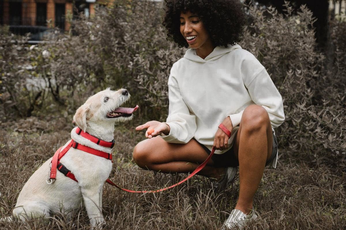 Una mujer practica con su perro en el parque usando una recompensa